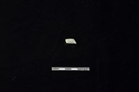 陶環藏品圖，第1張